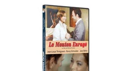 Le mouton enragé - DVD État correct reconditionné disponible sur Fnac