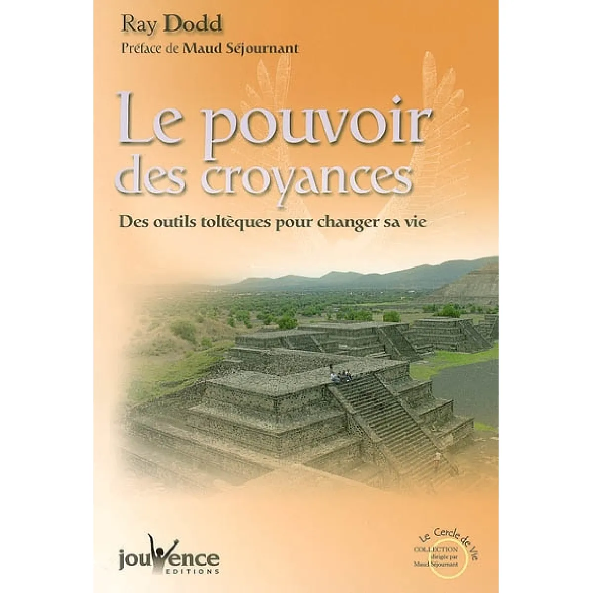 Acheter Le pouvoir des croyances : des outils toltèques pour changer sa vie État correct - 10,00 € Le pouvoir des croyances : des outils toltèques pour changer sa vie État correct N/A (Il ne s'agit pas d'une marque reconditionné disponible sur Rue du Commerce Seconde Vie