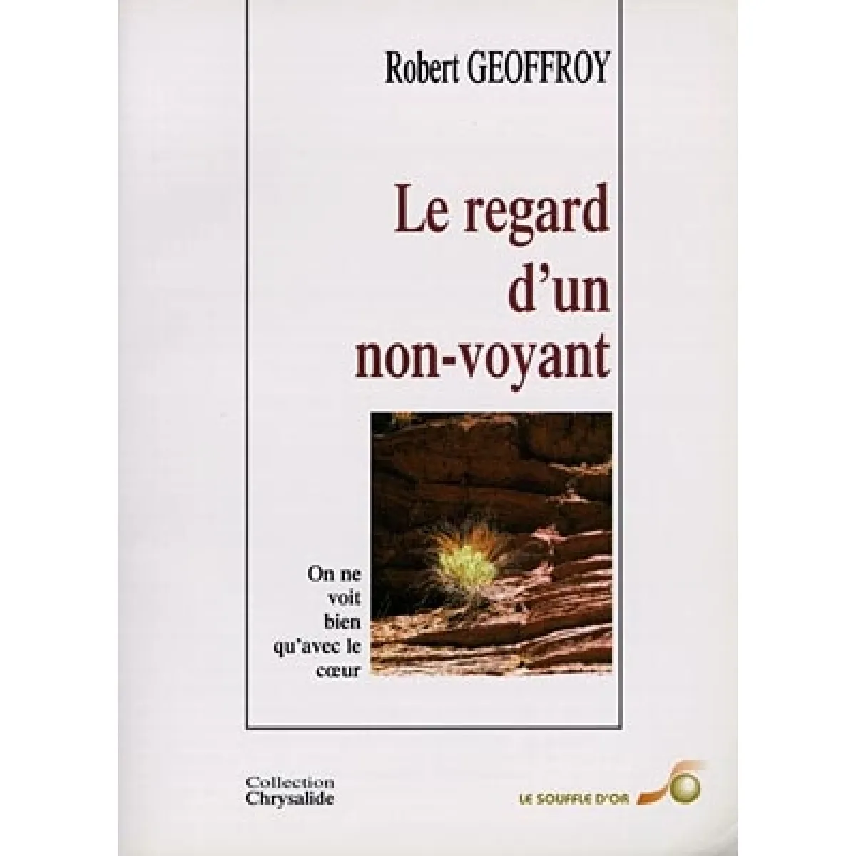 Acheter Le regard d'un non-voyant : on ne voit bien qu'avec le coeur État correct - 15,00 € Le regard d'un non-voyant : on ne voit bien qu'avec le coeur État correct N/A (Il ne s'agit pas d'une marque reconditionné disponible sur Rue du Commerce Seconde Vie