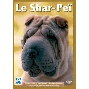 Acheter Le Shar-Peï Parfait état - 11,68 € Le Shar-Peï Parfait état reconditionné disponible sur Label Emmaüs
