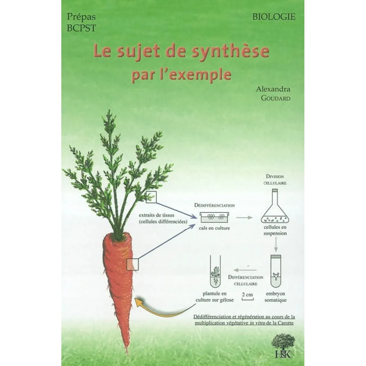Acheter Le sujet de synthèse par l'exemple : biologie : prépas BCPST État correct - 12,15 € Le sujet de synthèse par l'exemple : biologie : prépas BCPST État correct N/A (Il ne s'agit pas d'une marque reconditionné disponible sur Rue du Commerce Seconde Vie