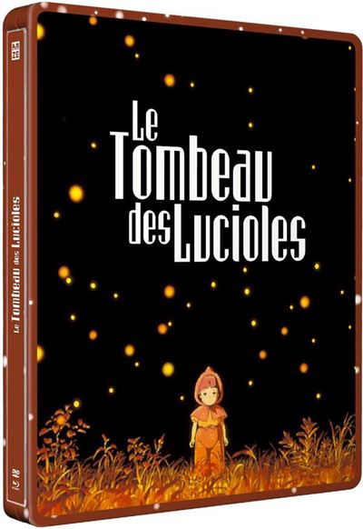 Le Tombeau des lucioles SteelBook® Combo Blu-ray DVD État correct reconditionné disponible sur Fnac | Dero