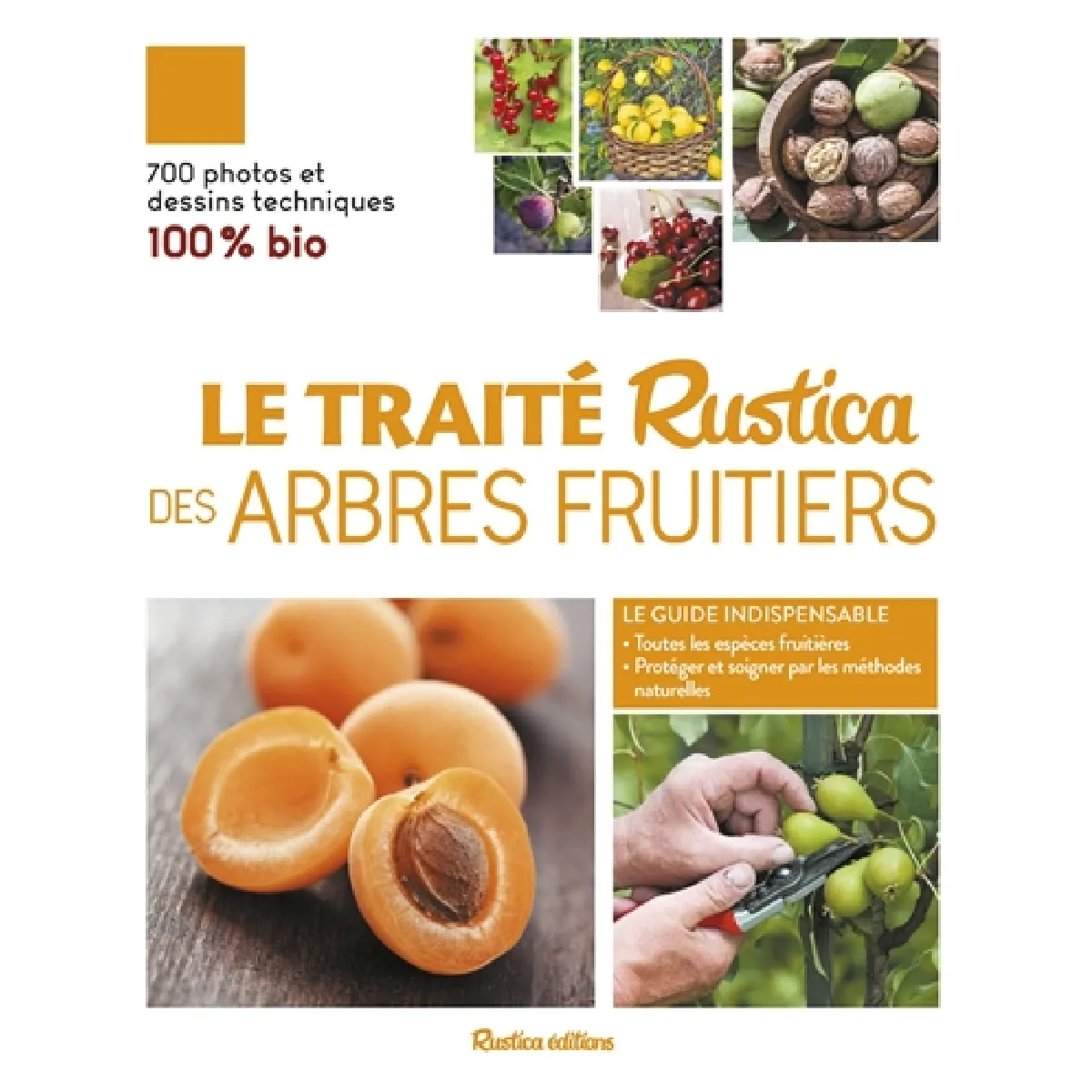 Acheter Le traité Rustica des arbres fruitiers : 100 % bio État correct - 26,12 € Le traité Rustica des arbres fruitiers : 100 % bio État correct N/A (Il ne s'agit pas d'une marque reconditionné disponible sur Rue du Commerce Seconde Vie