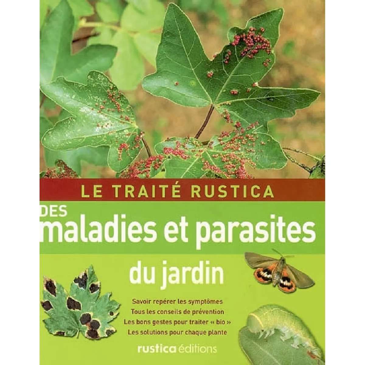 Acheter Le traité Rustica des maladies et parasites du jardin : savoir repérer les symptômes, tous les conseils de prévention, les bons gestes pour traiter bio, les solutions pour chaque plante État correct - 15,08 € Le traité Rustica des maladies et parasites du jardin : savoir repérer les symptômes, tous les conseils de prévention, les bons gestes pour traiter bio, les solutions pour chaque plante État correct N/A (Il ne s'agit pas d'une marque reconditionné disponible sur Rue du Commerce Seconde Vie