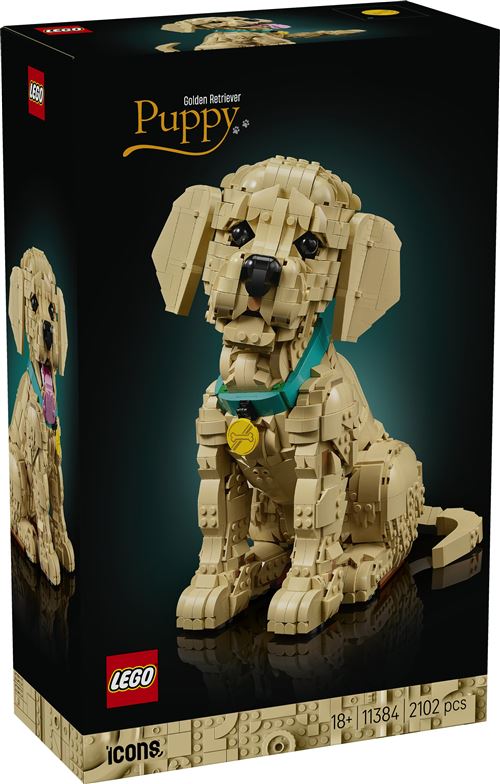 LEGO® Icons 11384 Le chiot Golden Retriever État correct LEGO Icons reconditionné disponible sur Fnac
