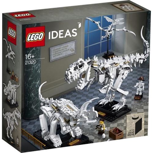LEGO Ideas 21320 - Les fossiles de dinosaures État correct reconditionné disponible sur Fnac