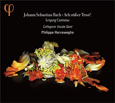 Leipzig cantatas État correct reconditionné disponible sur Fnac