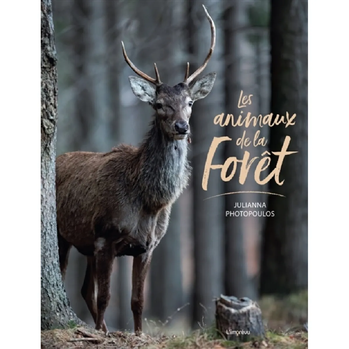 Acheter Les animaux de la forêt État correct - 14,40 € Les animaux de la forêt État correct N/A (Il ne s'agit pas d'une marque reconditionné disponible sur Rue du Commerce Seconde Vie