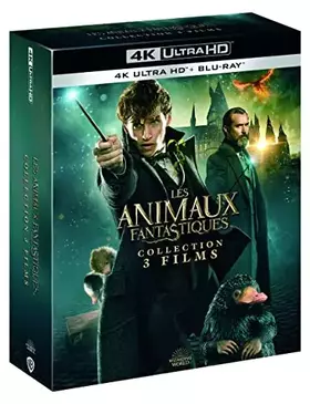 Les Animaux fantastiques - La Trilogie [4K Ultra HD + Blu-Ray] - David Yates Occasion reconditionné disponible sur Ammareal
