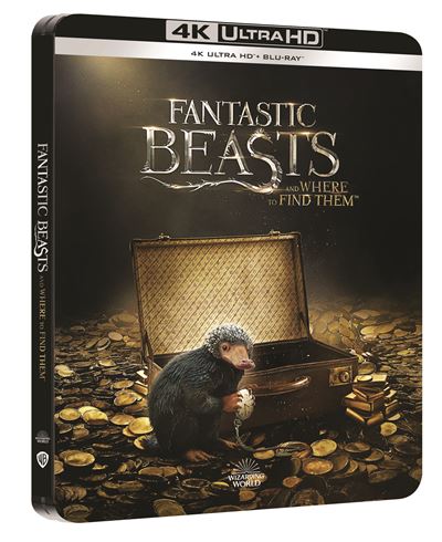 Les Animaux fantastiques SteelBook® Blu-ray 4K Ultra HD État correct reconditionné disponible sur Fnac