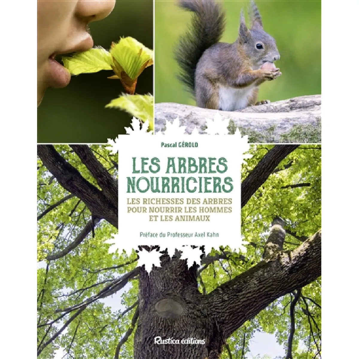 Les arbres nourriciers : les richesses des arbres pour nourrir les hommes et les animaux État correct - 10,39 € Les arbres nourriciers : les richesses des arbres pour nourrir les hommes et les animaux État correct N/A (Il ne s'agit pas d'une marque reconditionné disponible sur Rue du Commerce Seconde Vie