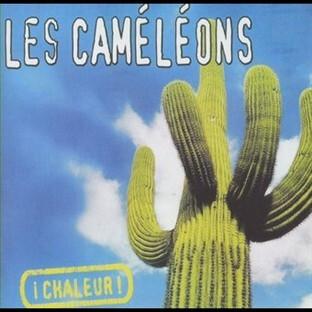Acheter Les Caméléons - ¡Chaleur! État correct - 15,56 € Les Caméléons - ¡Chaleur! État correct reconditionné disponible sur Label Emmaüs