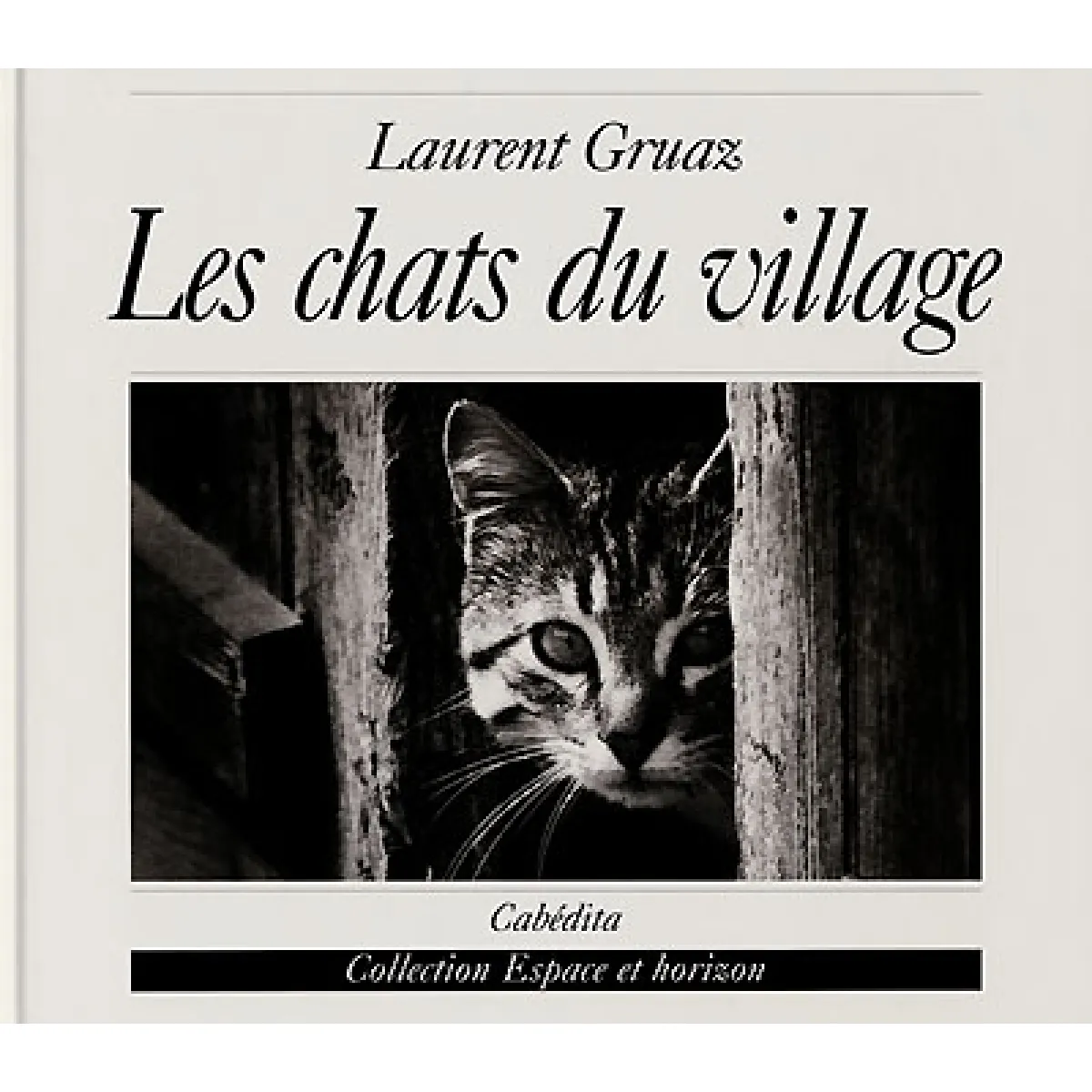 Les chats du village État correct - 10,00 € Les chats du village État correct N/A (Il ne s'agit pas d'une marque reconditionné disponible sur Rue du Commerce Seconde Vie