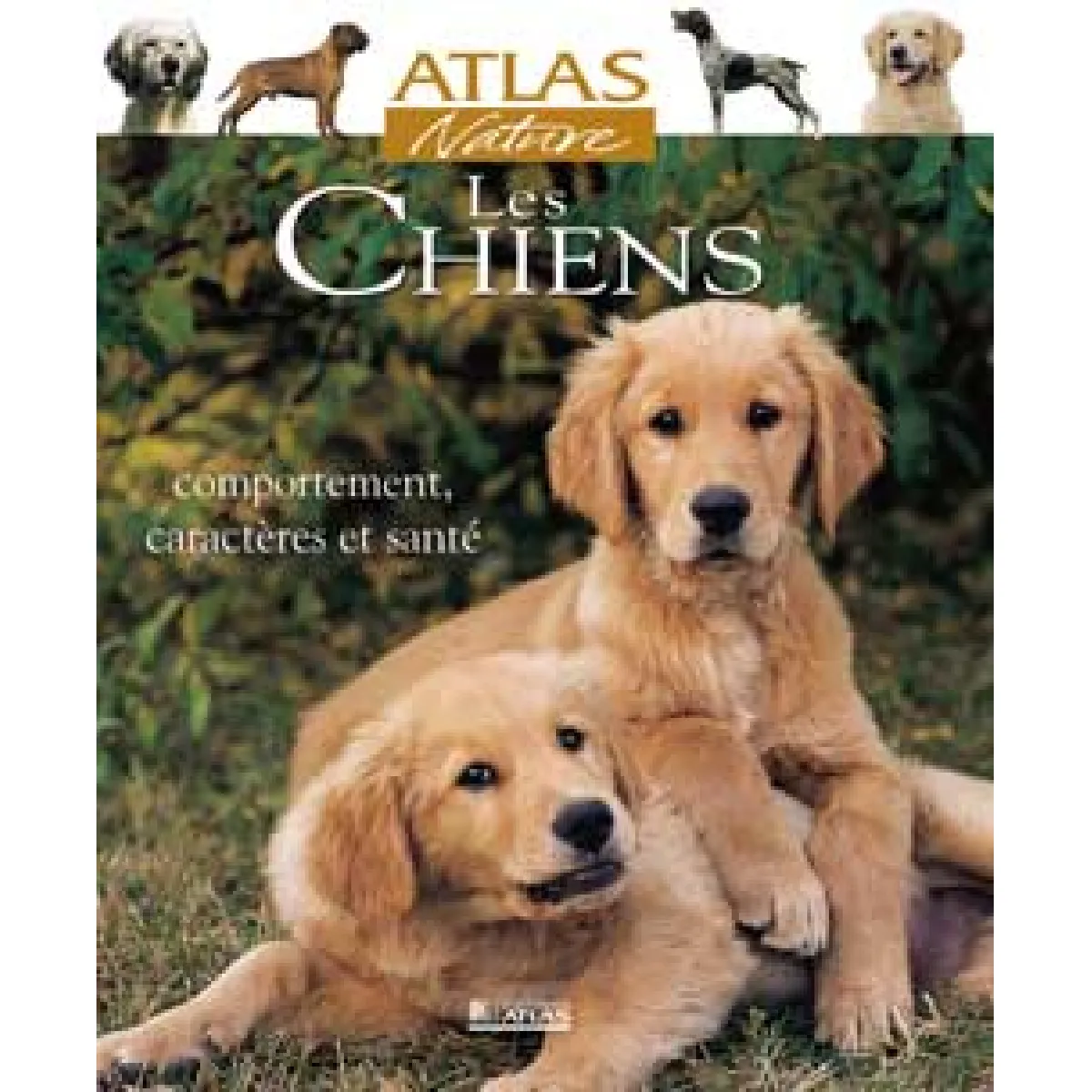 Acheter Les chiens : comportements, caractères et santé État correct - 10,00 € Les chiens : comportements, caractères et santé État correct N/A (Il ne s'agit pas d'une marque reconditionné disponible sur Rue du Commerce Seconde Vie
