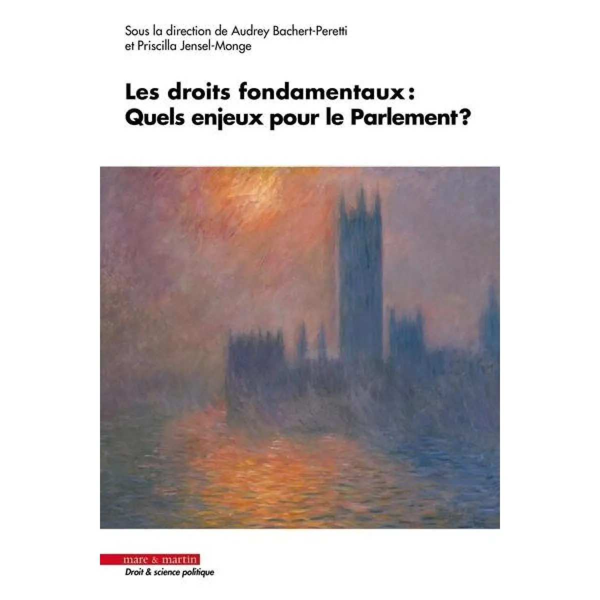 Les droits fondamentaux : quels enjeux pour le Parlement ? État correct - 32,83 € Les droits fondamentaux : quels enjeux pour le Parlement ? État correct N/A (Il ne s'agit pas d'une marque reconditionné disponible sur Rue du Commerce Seconde Vie