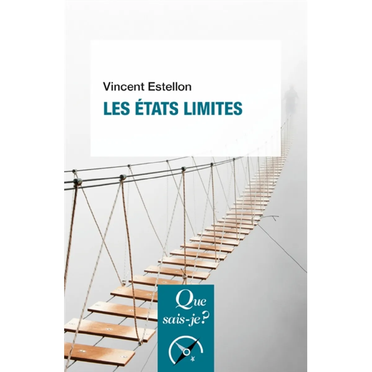 Les états limites État correct - 10,13 € Les états limites État correct N/A (Il ne s'agit pas d'une marque reconditionné disponible sur Rue du Commerce Seconde Vie