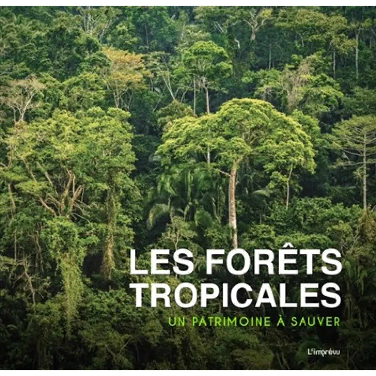 Acheter Les forêts tropicales : un patrimoine à sauver État correct - 14,62 € Les forêts tropicales : un patrimoine à sauver État correct N/A (Il ne s'agit pas d'une marque reconditionné disponible sur Rue du Commerce Seconde Vie
