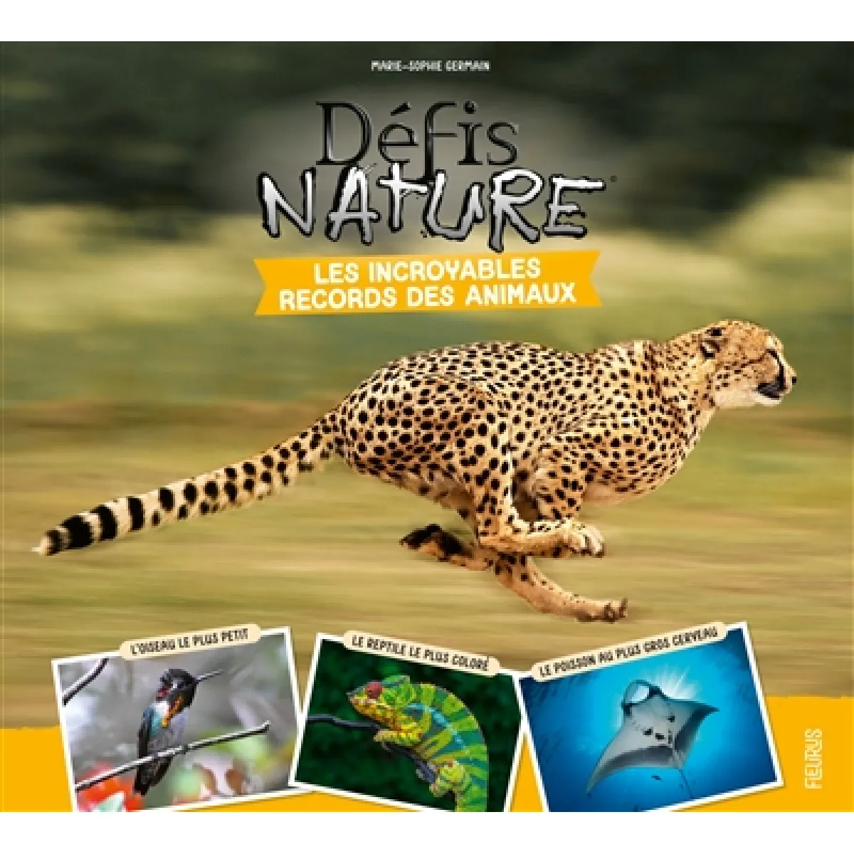 Acheter Les incroyables records des animaux État correct - 10,39 € Les incroyables records des animaux État correct N/A (Il ne s'agit pas d'une marque reconditionné disponible sur Rue du Commerce Seconde Vie