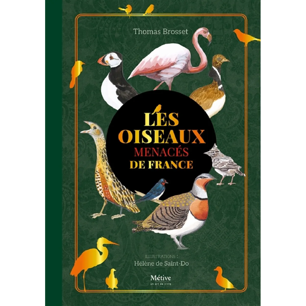 Acheter Les oiseaux menacés de France État correct - 10,48 € Les oiseaux menacés de France État correct N/A (Il ne s'agit pas d'une marque reconditionné disponible sur Rue du Commerce Seconde Vie