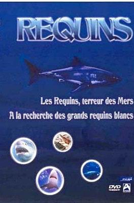 Les requins, terreur des mers - A la recherche des grands requins blancs - Coffret État correct reconditionné disponible sur Fnac