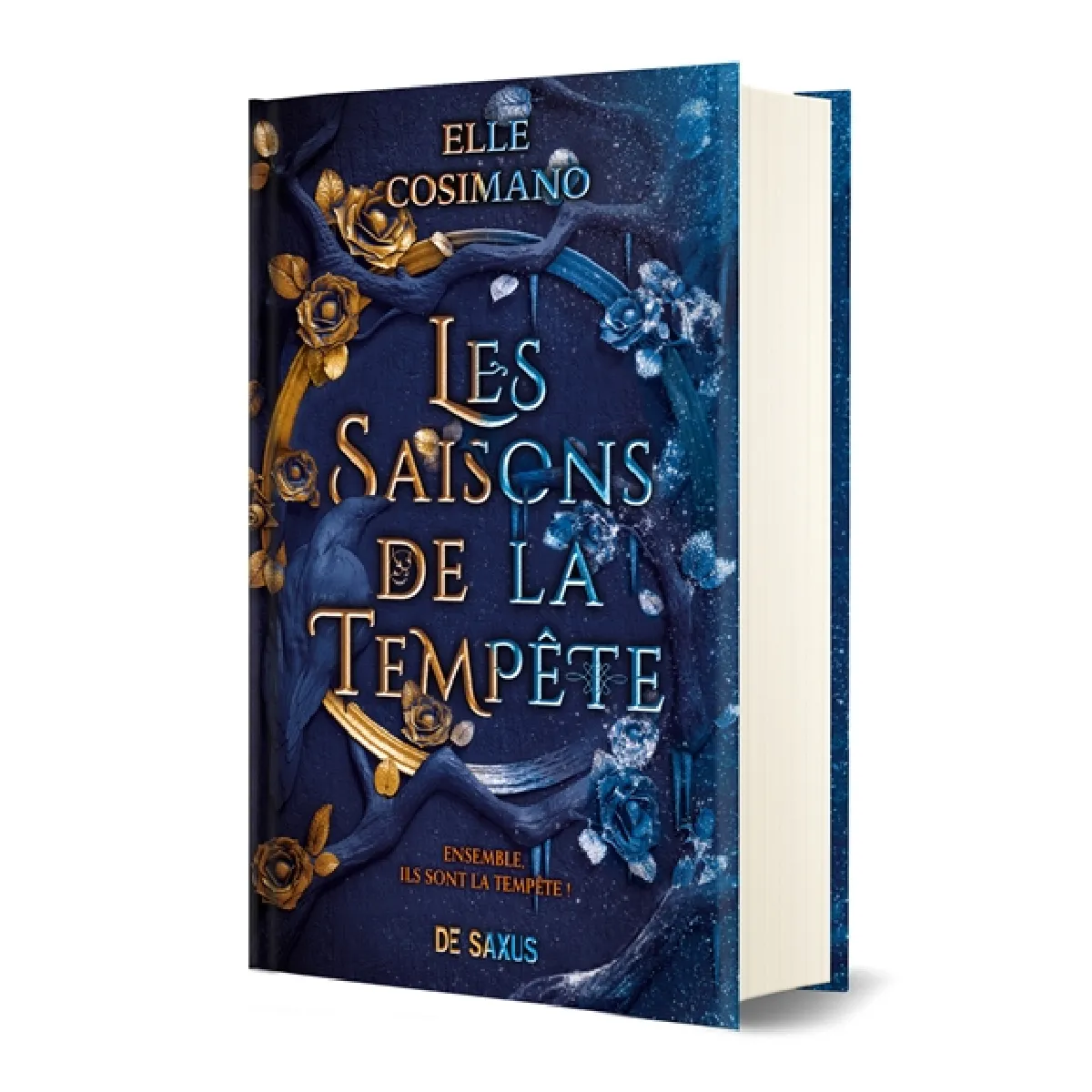 Les saisons de la tempête État correct - 11,17 € Les saisons de la tempête État correct N/A (Il ne s'agit pas d'une marque reconditionné disponible sur Rue du Commerce Seconde Vie