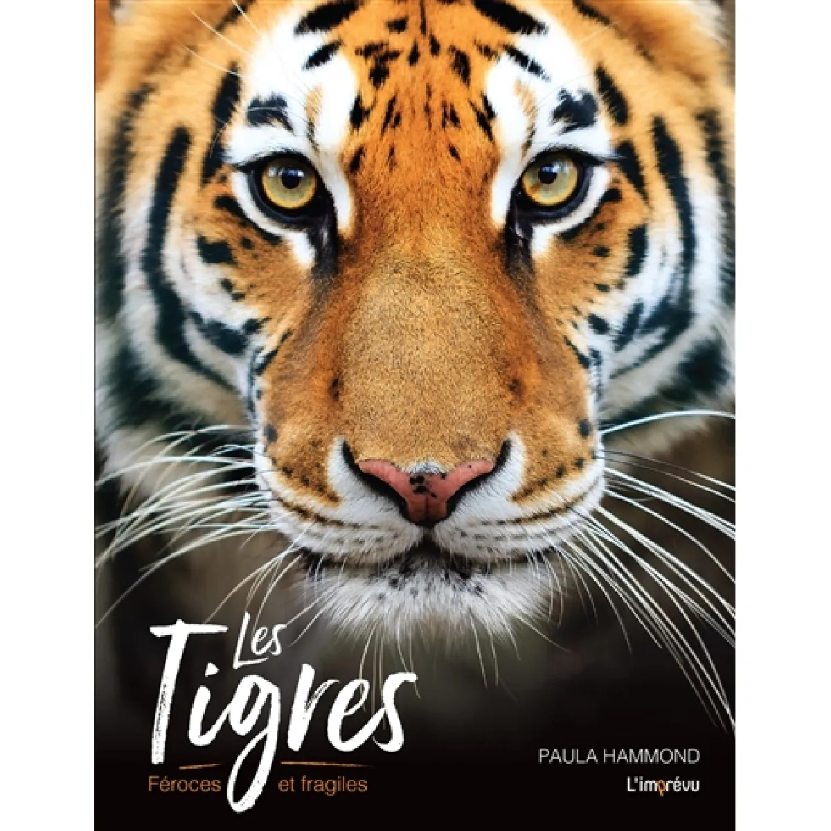 Acheter Les tigres : féroces et fragiles État correct - 10,41 € Les tigres : féroces et fragiles État correct N/A (Il ne s'agit pas d'une marque reconditionné disponible sur Rue du Commerce Seconde Vie