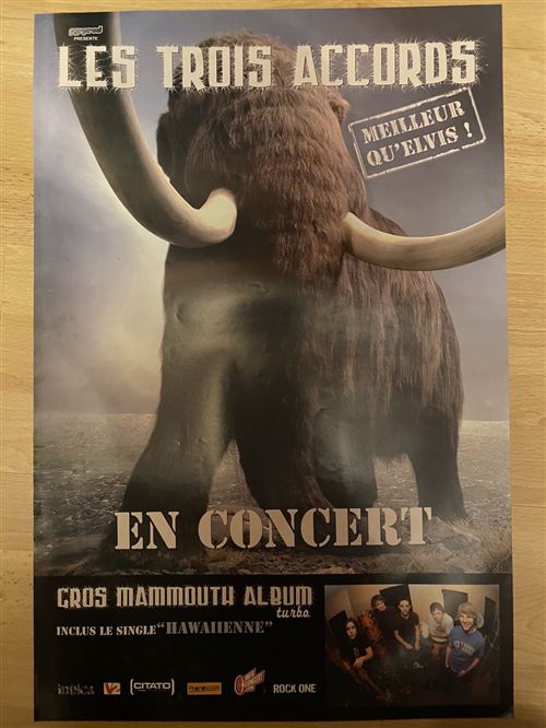Les Trois Accords - En concert - Gros Mammouth - 40x60cm - Affiche État correct reconditionné disponible sur Fnac