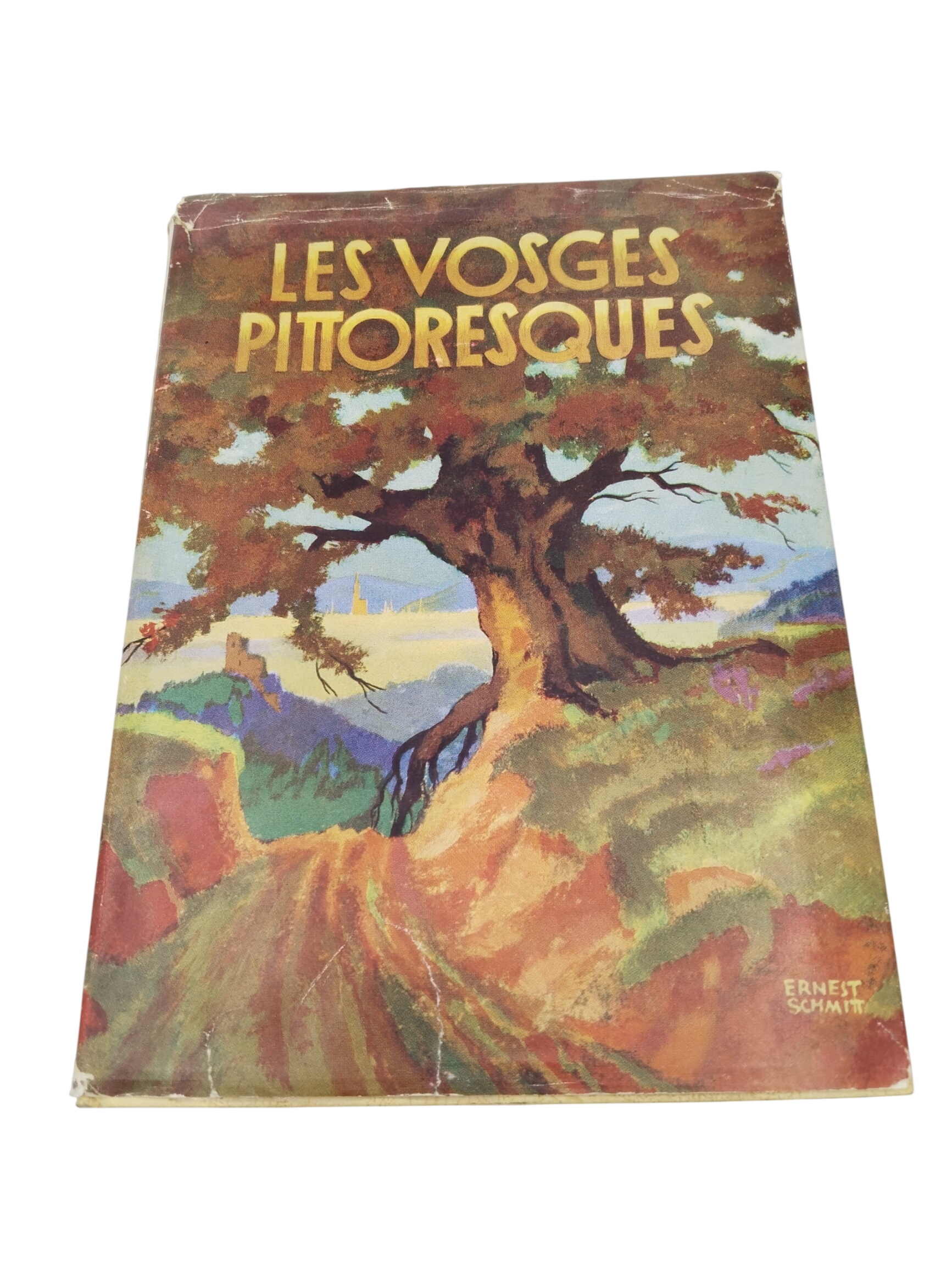Acheter Les Vosges pittoresques - 10,00 € Les Vosges pittoresques reconditionné disponible sur Label Emmaüs