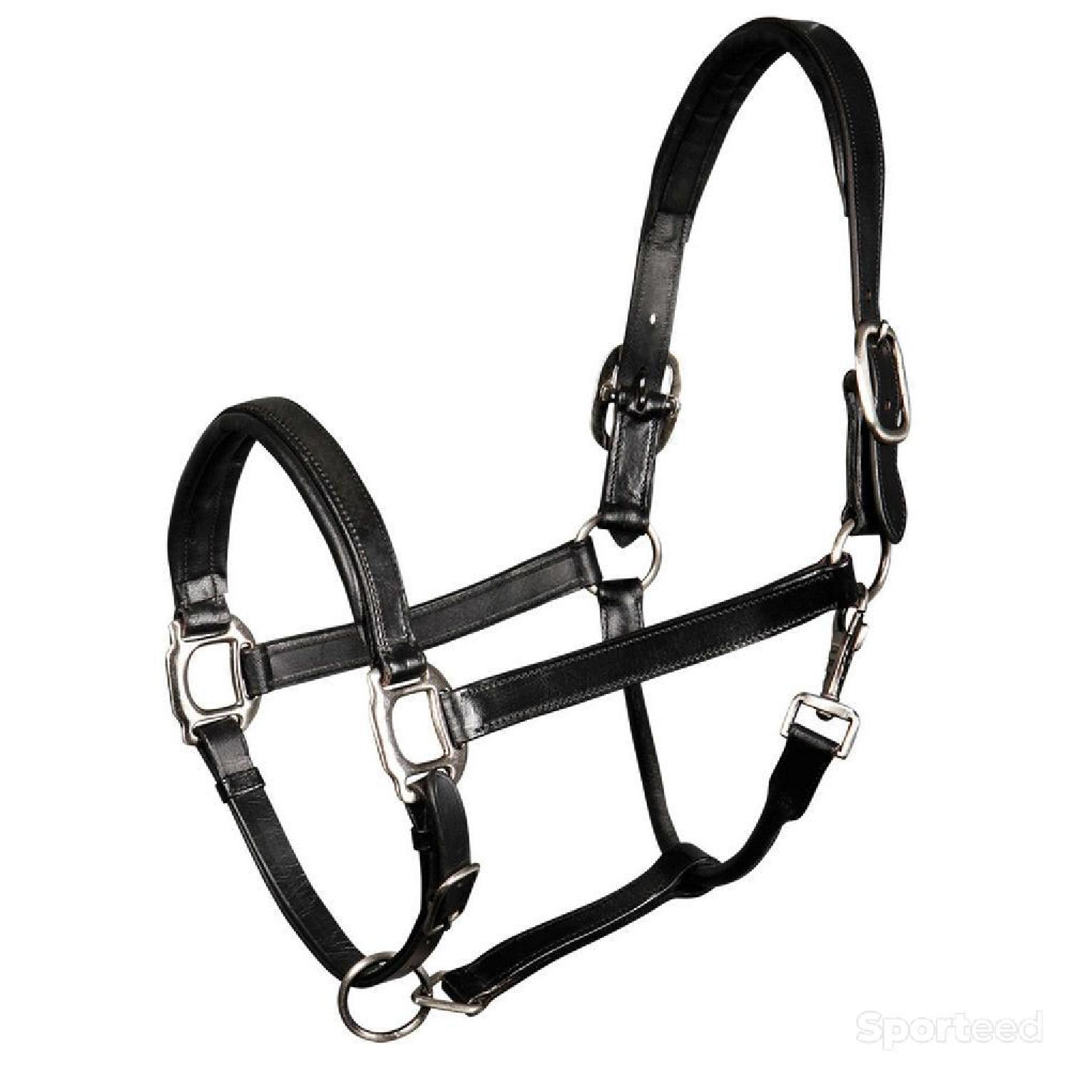 Licol en cuir noir neuf Parfait état reconditionné disponible sur Sporteed