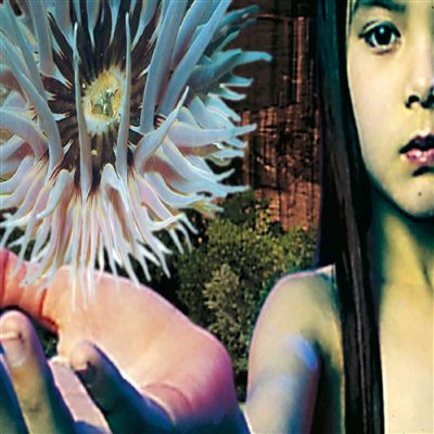 Lifeforms État correct reconditionné disponible sur Fnac