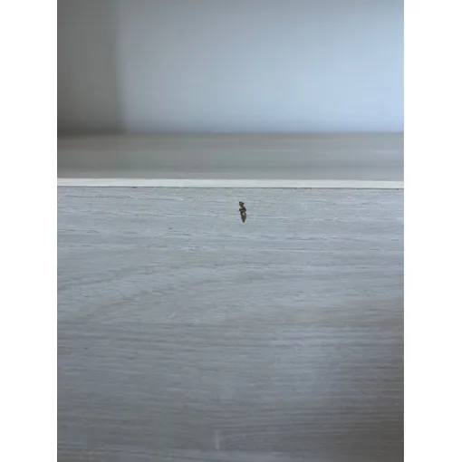 Lit Enfant Bon état reconditionné disponible sur Rakuten