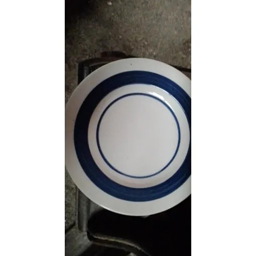 Lot 10 Assiettes A Désert Bon état reconditionné disponible sur Rakuten