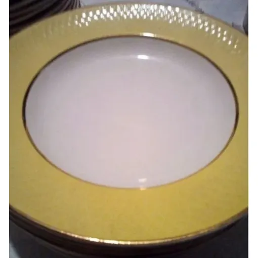 Lot 10 Assiettes Creuses - En Porcelaine - " Moulin Des Loups " - 23 Cm occasion reconditionné disponible sur Rakuten