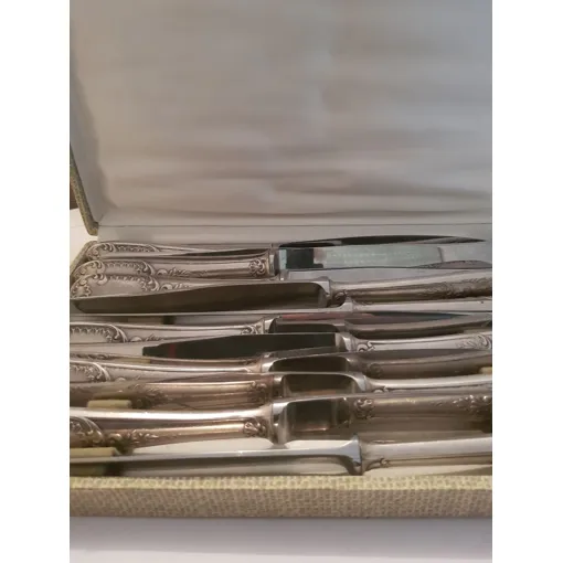 Lot 12 Couteaux Inox Bon état reconditionné disponible sur Rakuten