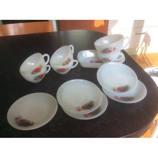 Lot 12 Pièces Arcopal Vintage Anémones, Coquelicots Bon état reconditionné disponible sur Rakuten