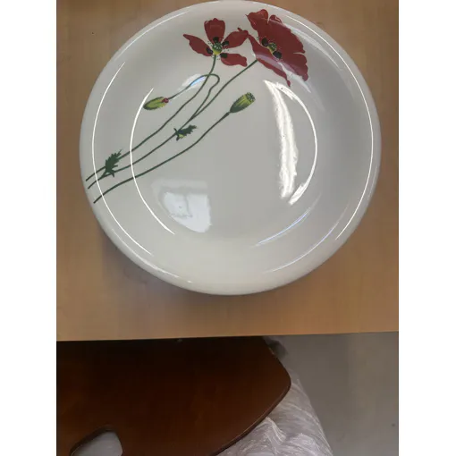Lot Assiettes occasion reconditionné disponible sur Rakuten