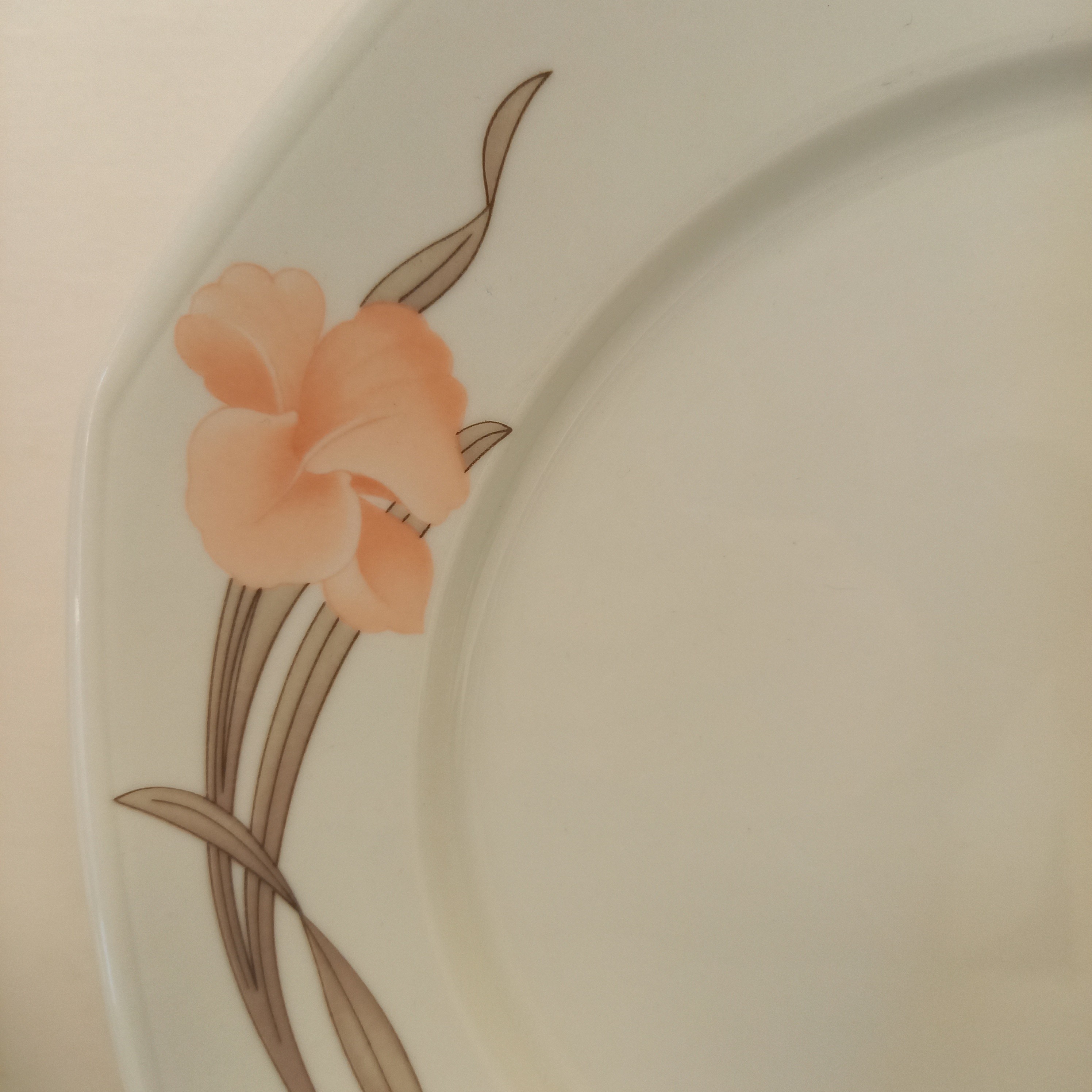 Voir photo 6 de Lot de 13 Assiettes en porcelaine Pyroblan décor inaltérable SARREGUEMINE France depuis 1784. Composé de 10 grandes Assiettes 2 grands plats ronds et 1 grand plat oval. Lot de 13 Assiettes en porcelaine Pyroblan décor inaltérable SARREGUEMINE France depuis 1784. Composé de 10 grandes Assiettes 2 grands plats ronds et 1 grand plat oval. Bon état reconditionné photo 6