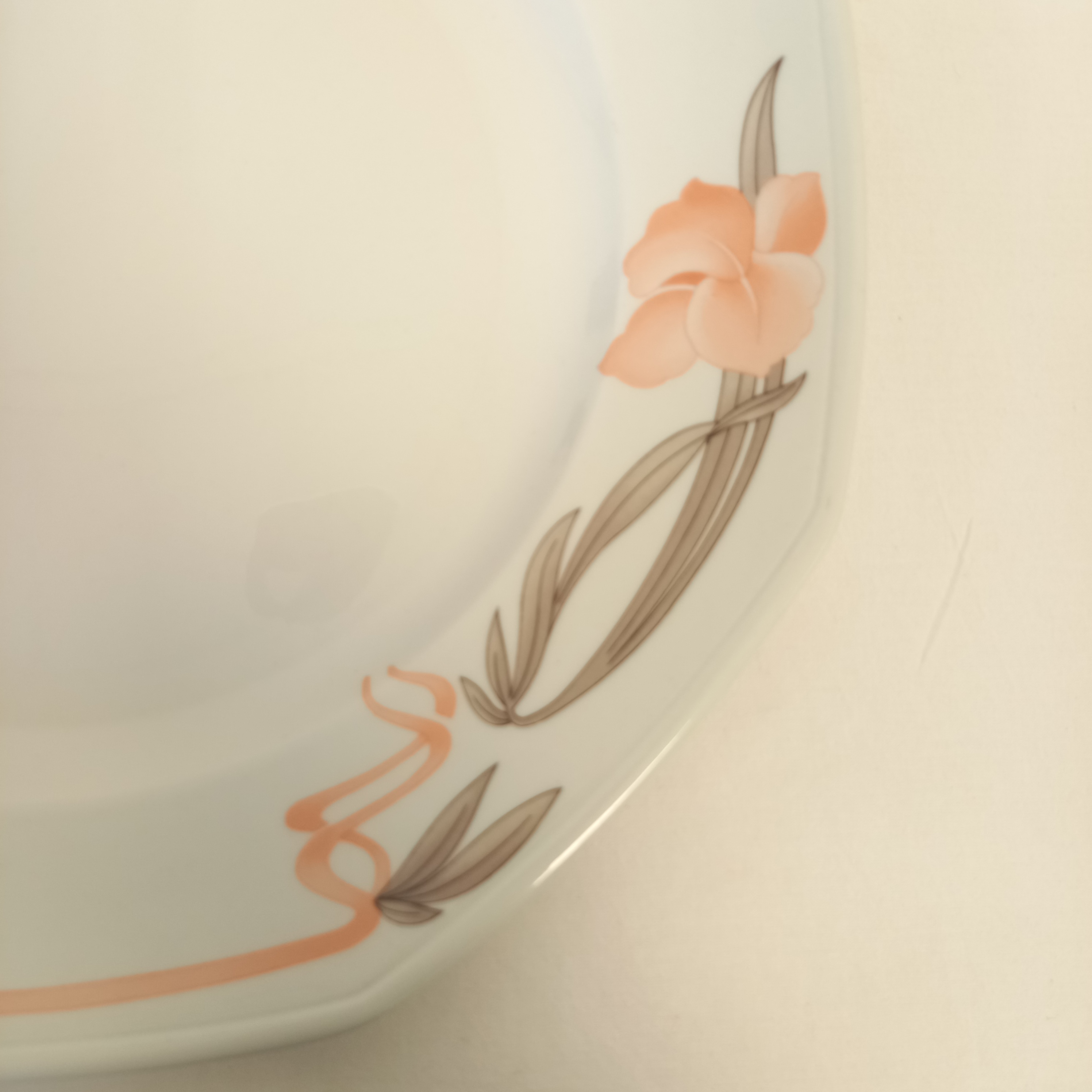 Voir photo 7 de Lot de 13 Assiettes en porcelaine Pyroblan décor inaltérable SARREGUEMINE France depuis 1784. Composé de 10 grandes Assiettes 2 grands plats ronds et 1 grand plat oval. Lot de 13 Assiettes en porcelaine Pyroblan décor inaltérable SARREGUEMINE France depuis 1784. Composé de 10 grandes Assiettes 2 grands plats ronds et 1 grand plat oval. Bon état reconditionné photo 7