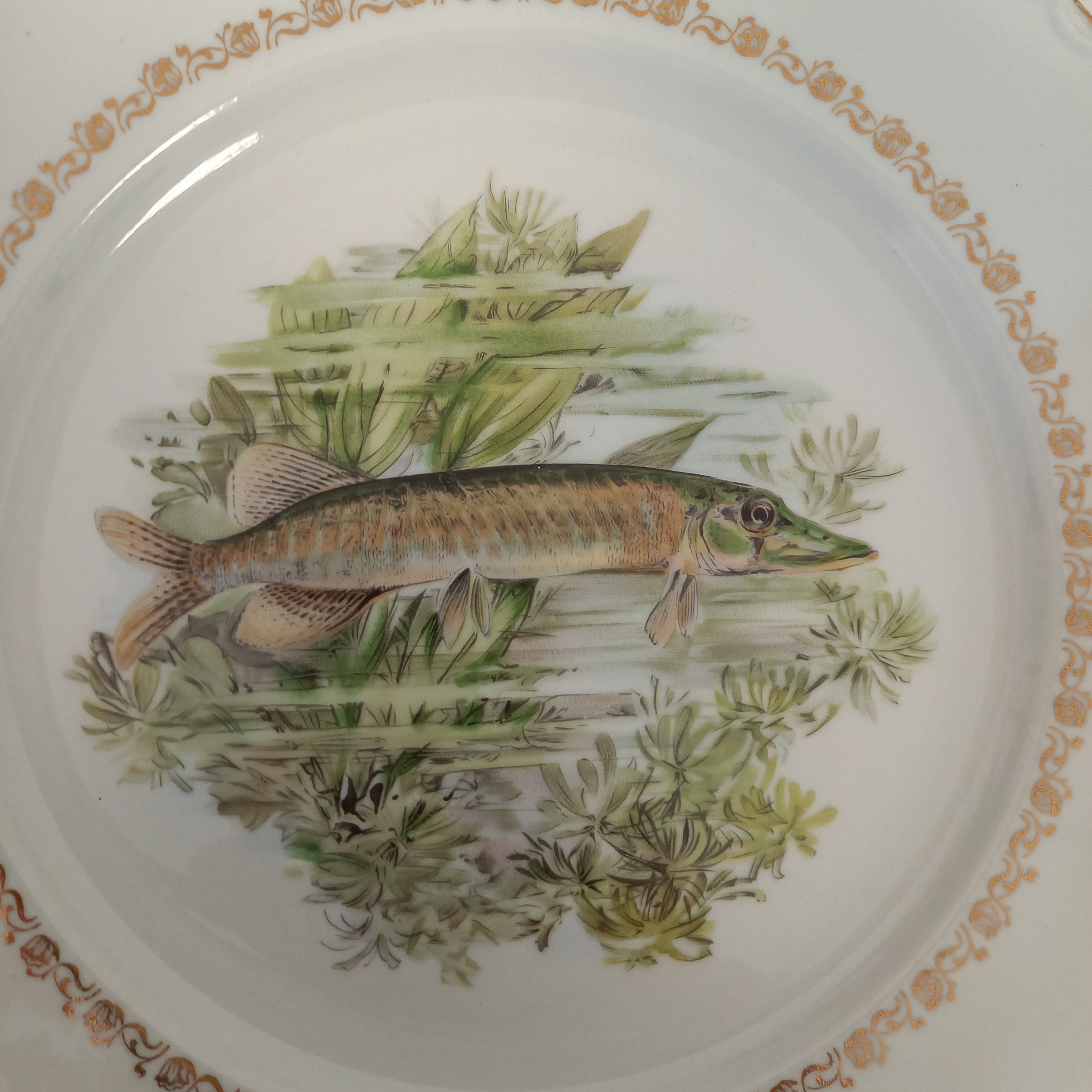 Voir photo 10 de Lot de 13 pièces Service à poisson composé de : 12 Assiettes plates et 1 Assiette ovale Lot de 13 pièces Service à poisson composé de : 12 Assiettes plates et 1 Assiette ovale Bon état reconditionné photo 10