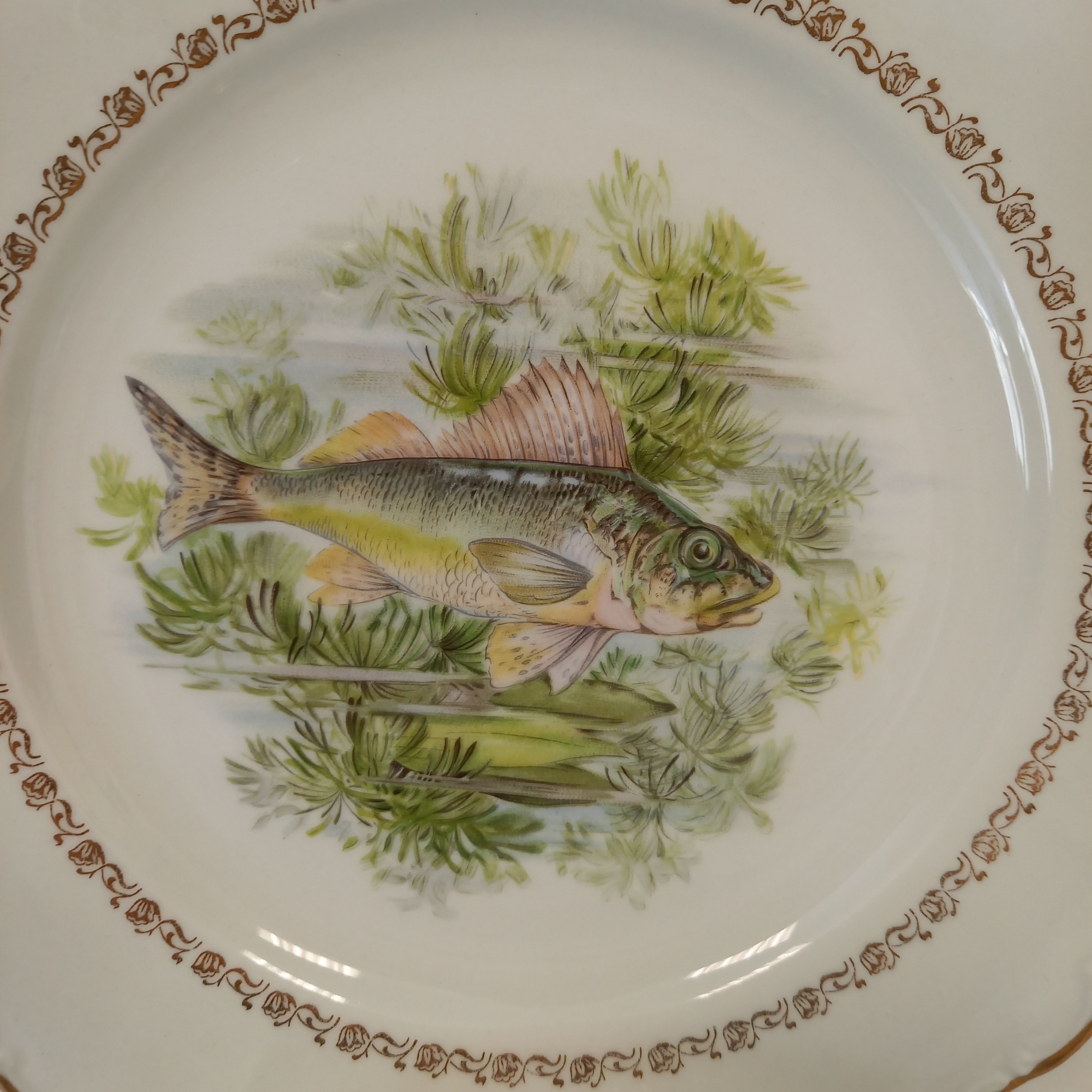 Voir photo 11 de Lot de 13 pièces Service à poisson composé de : 12 Assiettes plates et 1 Assiette ovale Lot de 13 pièces Service à poisson composé de : 12 Assiettes plates et 1 Assiette ovale Bon état reconditionné photo 11