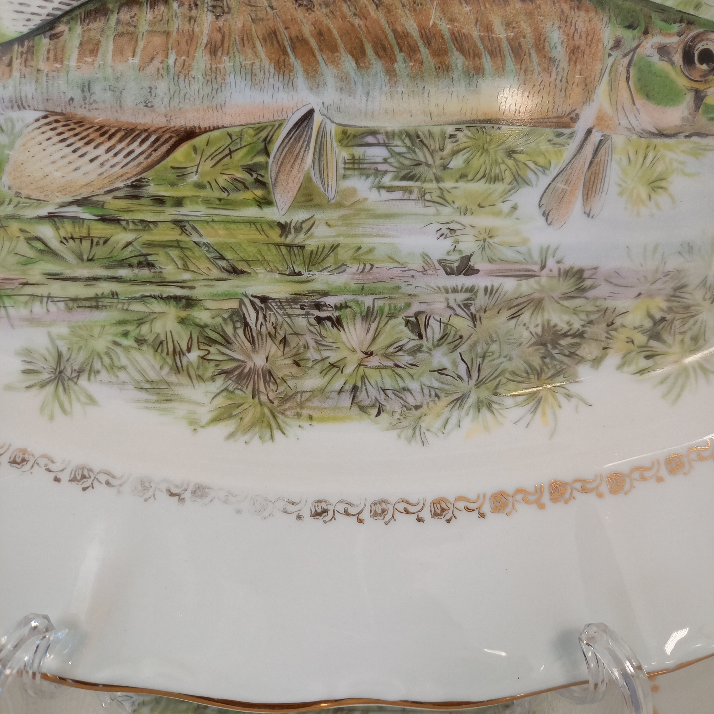 Voir photo 12 de Lot de 13 pièces Service à poisson composé de : 12 Assiettes plates et 1 Assiette ovale Lot de 13 pièces Service à poisson composé de : 12 Assiettes plates et 1 Assiette ovale Bon état reconditionné photo 12
