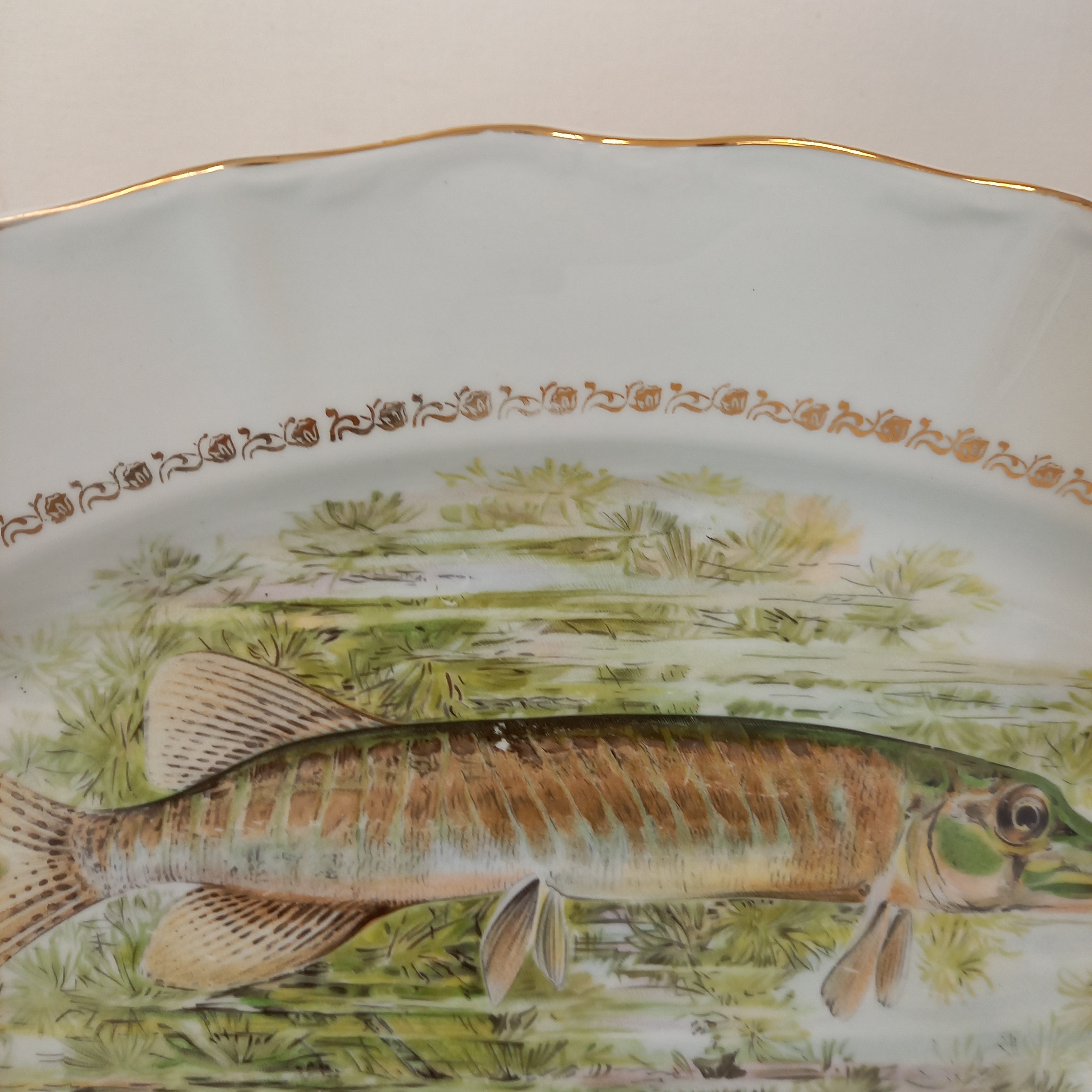 Voir photo 7 de Lot de 13 pièces Service à poisson composé de : 12 Assiettes plates et 1 Assiette ovale Lot de 13 pièces Service à poisson composé de : 12 Assiettes plates et 1 Assiette ovale Bon état reconditionné photo 7