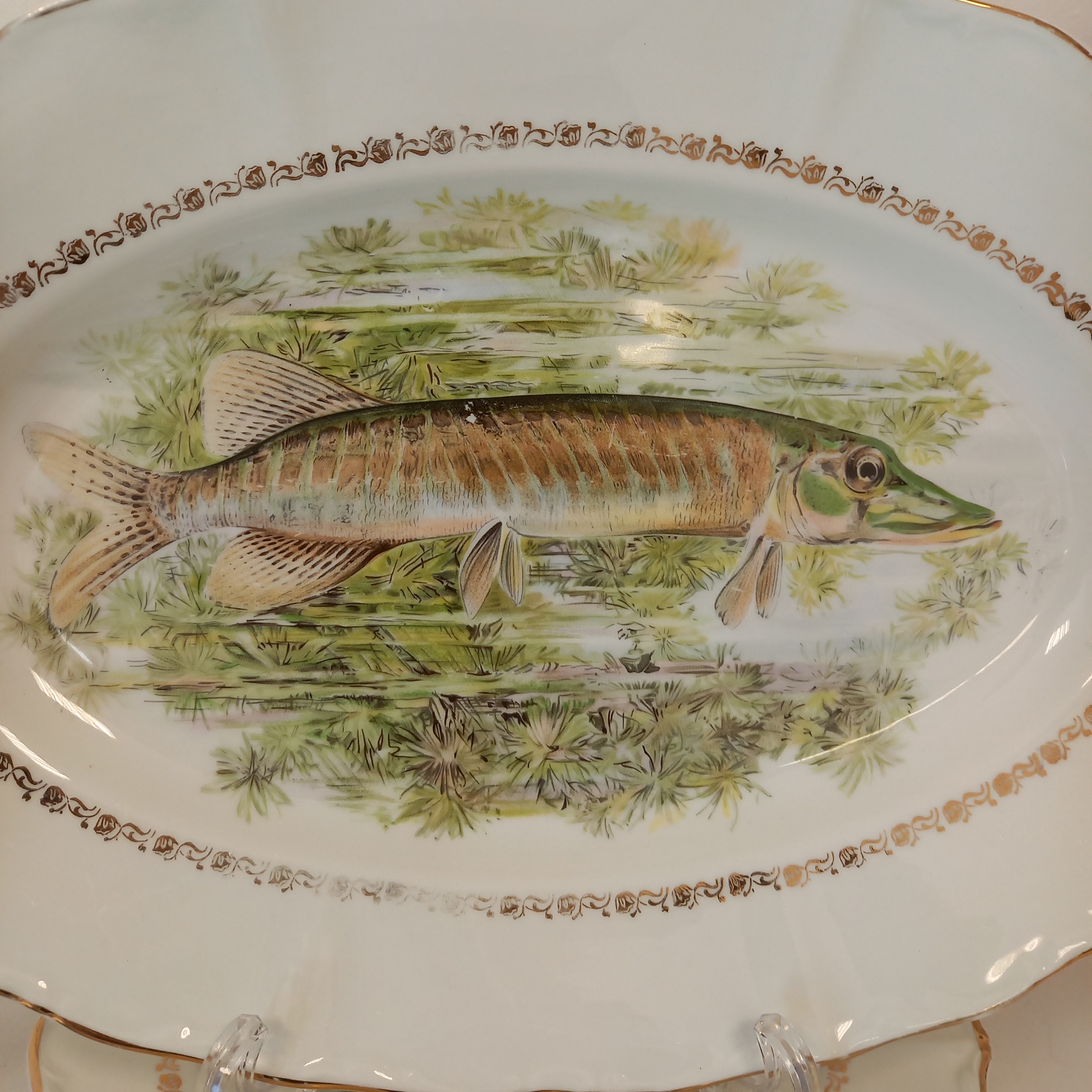 Voir photo 8 de Lot de 13 pièces Service à poisson composé de : 12 Assiettes plates et 1 Assiette ovale Lot de 13 pièces Service à poisson composé de : 12 Assiettes plates et 1 Assiette ovale Bon état reconditionné photo 8