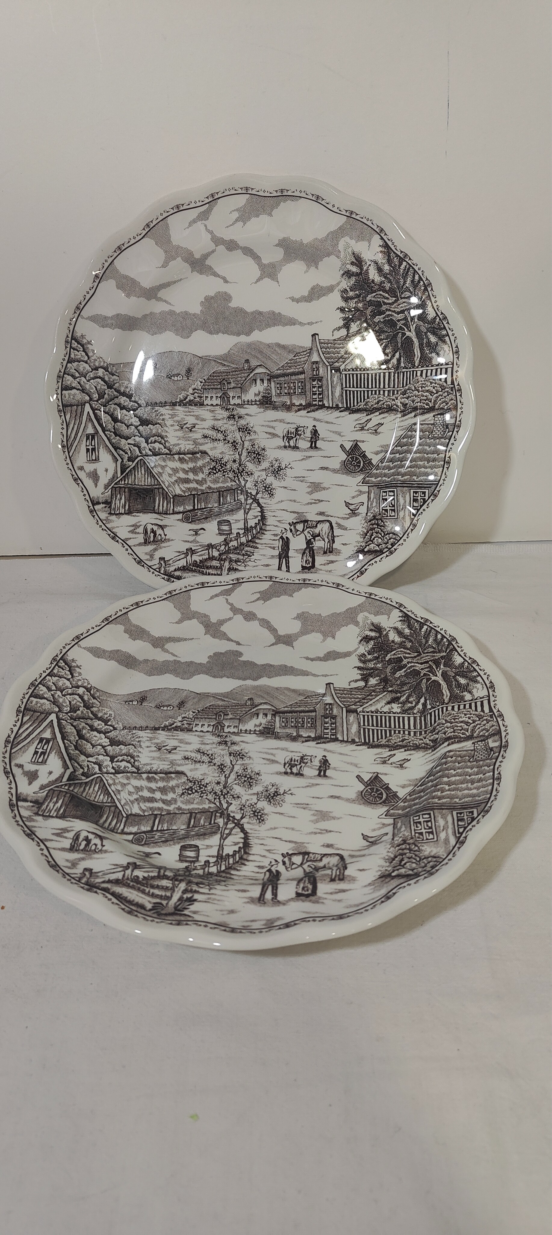 Acheter Lot de 2 assiettes plates en porcelaine anglaise Très bon état - 10,00 € Lot de 2 assiettes plates en porcelaine anglaise Très bon état reconditionné disponible sur Label Emmaüs