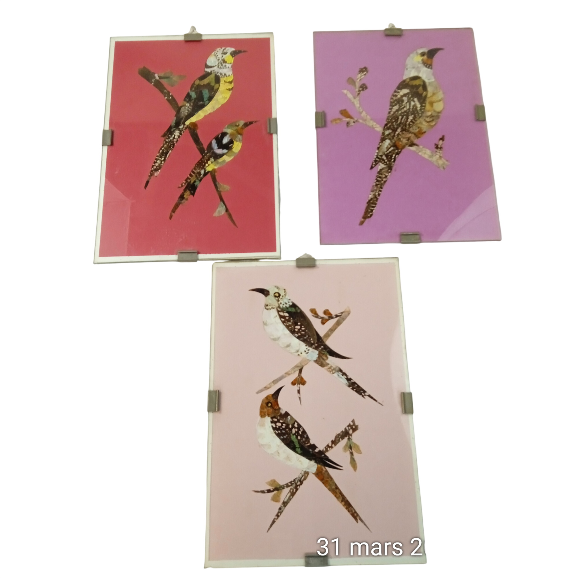 Lot de 3 cadres anciens sous-verre Oiseaux en ailes de papillons collection Très bon état - 37,00 € Lot de 3 cadres anciens sous-verre Oiseaux en ailes de papillons collection Très bon état reconditionné disponible sur Label Emmaüs