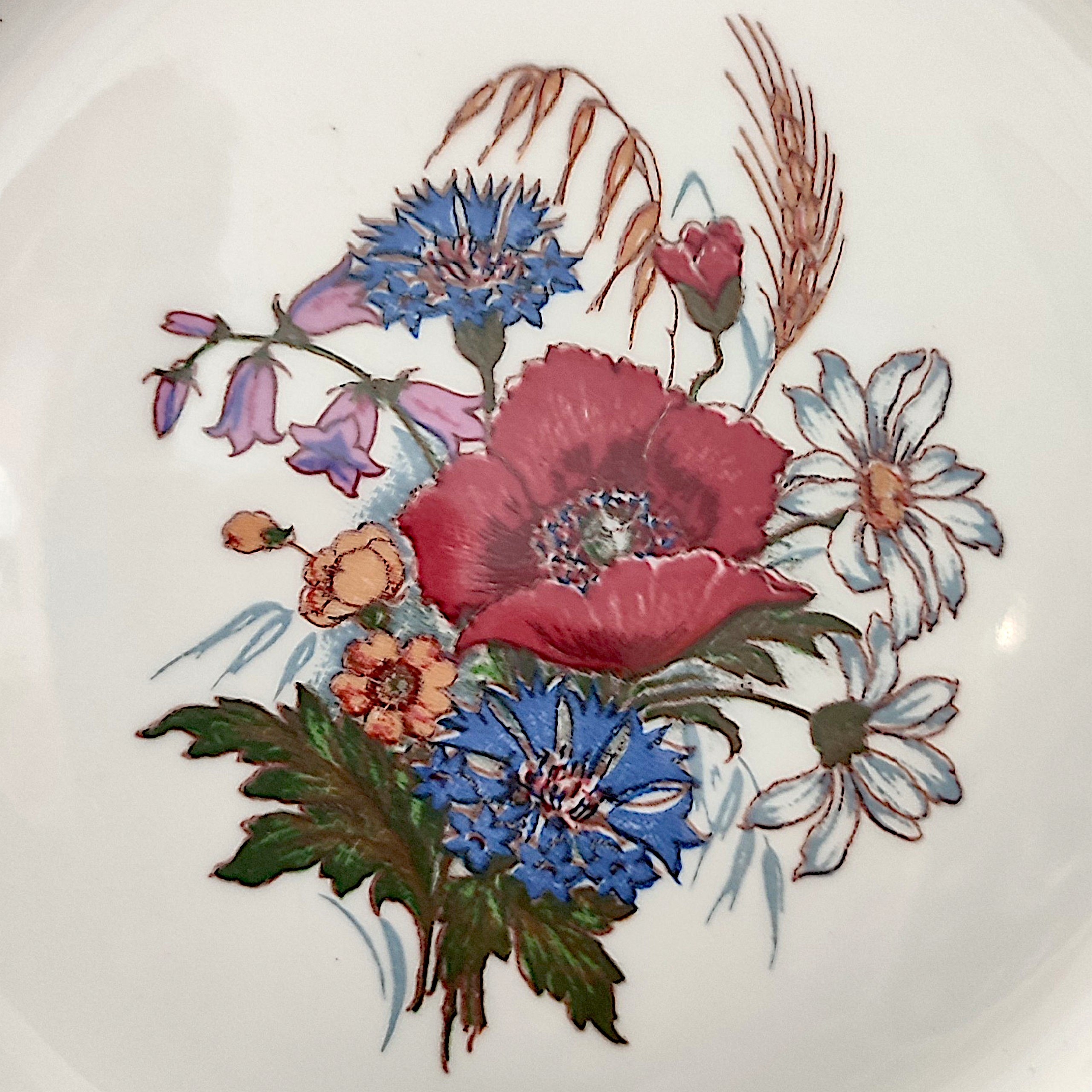 Voir photo 6 de Lot de 4 assiettes plates en porcelaine - modèle Agreste Pyroblan par Sarreguemines. Lot de 4 assiettes plates en porcelaine - modèle Agreste Pyroblan par Sarreguemines. reconditionné photo 6