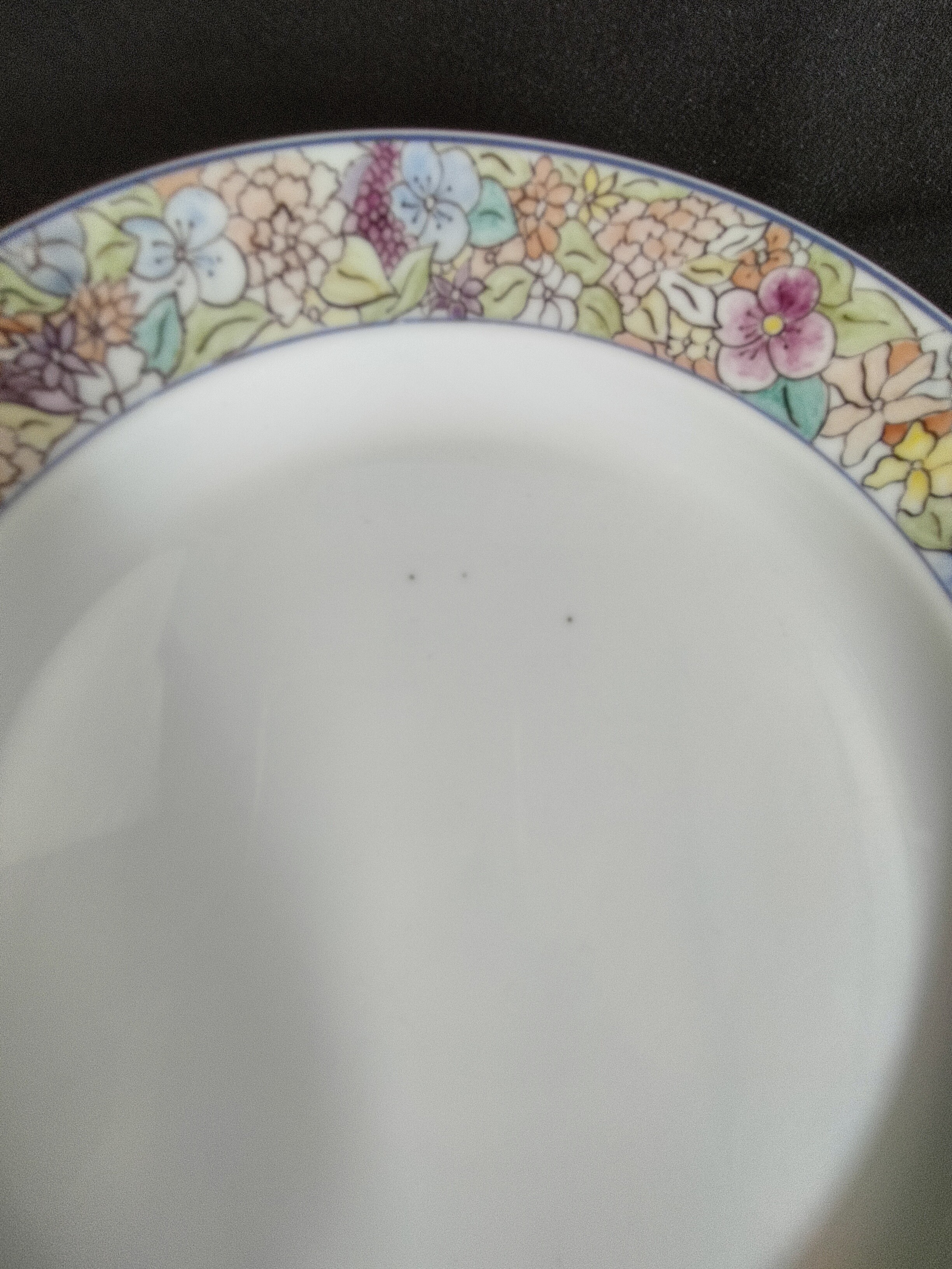 Voir photo 8 de Lot de 5 assiettes en porcelaine de Limoges CH94 – Décor floral pastel vintage – 21 cm Lot de 5 assiettes en porcelaine de Limoges CH94 – Décor floral pastel vintage – 21 cm reconditionné photo 8