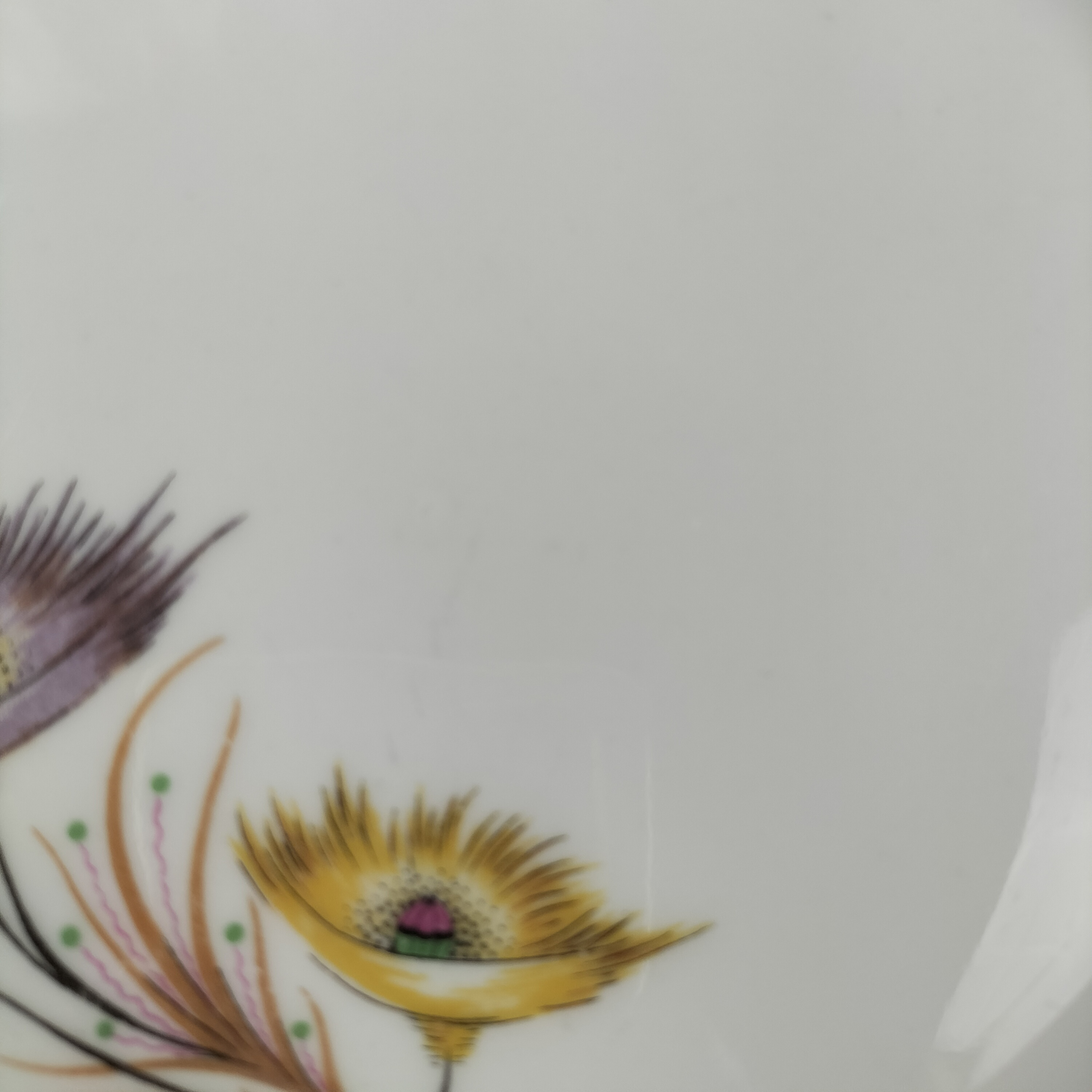 Voir photo 12 de Lot de 7 assiettes 23,4 cm –5 Porcelaine de Luxe du Berry et 2 véritables porcelaine de luxe ,élégante motif floral identique (porcelaine de Limoge) Lot de 7 assiettes 23,4 cm –5 Porcelaine de Luxe du Berry et 2 véritables porcelaine de luxe ,élégante motif floral identique (porcelaine de Limoge) Bon état reconditionné photo 12