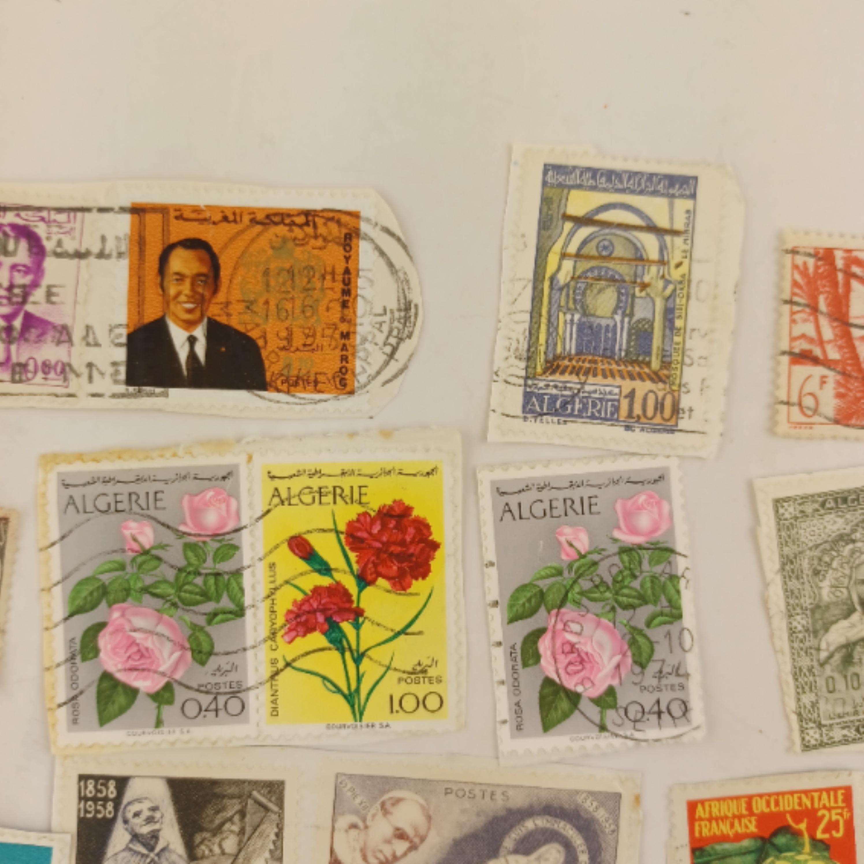 Voir photo 3 de Lot de timbres oblitérés Algérie, Maroc, Tunisie, AOF et Monaco, collection ancienne francophone Lot de timbres oblitérés Algérie, Maroc, Tunisie, AOF et Monaco, collection ancienne francophone Très bon état reconditionné photo 3