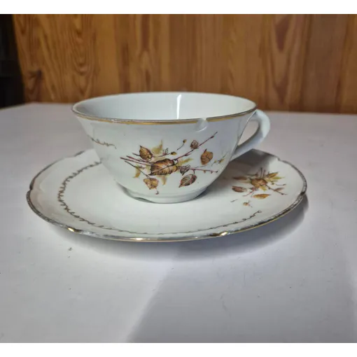 Lot Tasse Et Sous Tasse Porcelaine Vierzon Royal Email Pâtes Fine C.G occasion reconditionné disponible sur Rakuten